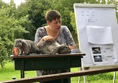 Eine Referentin steht hinter einem Tisch mit zwei chinchillafarbigen Englischen Widdern, daneben ein Flipchart mit Verpaarungsschema und Fotos