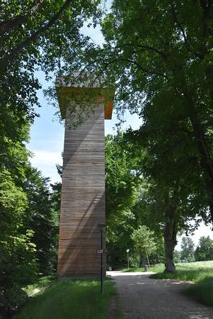 Schlanker, holzverkleideter Aussichtsturm zwischen hohen Laubbäumen an einem Kiesweg