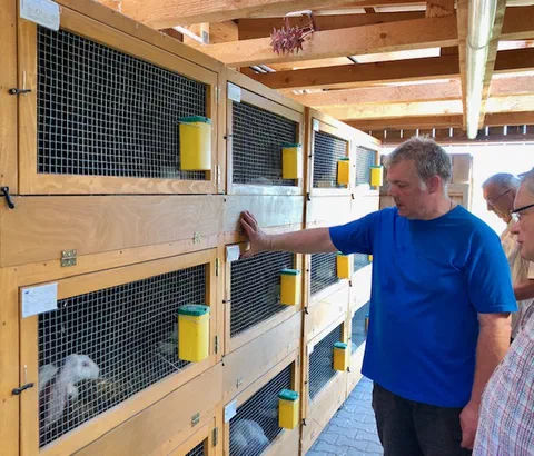Ein Züchter im blauen T-Shirt zeigt eine Reihe hölzerner Kaninchenbuchten mit Gittertüren und gelben Futterbehältern unter einem Holzdach